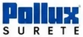 Logo Pollux